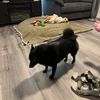 jessicawallin47