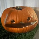 @leafy3417
