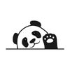 pandaeyesteam