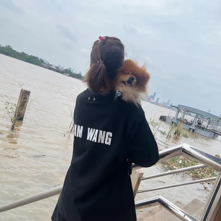 @mymint_teamwang