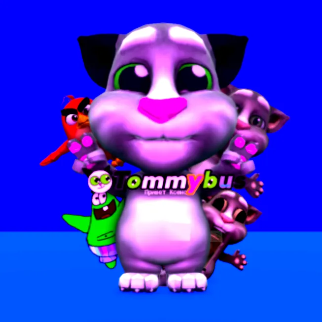 tommi_bus