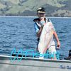 ccfishing01