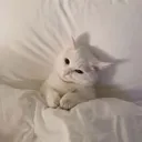@dkdkddkl0
