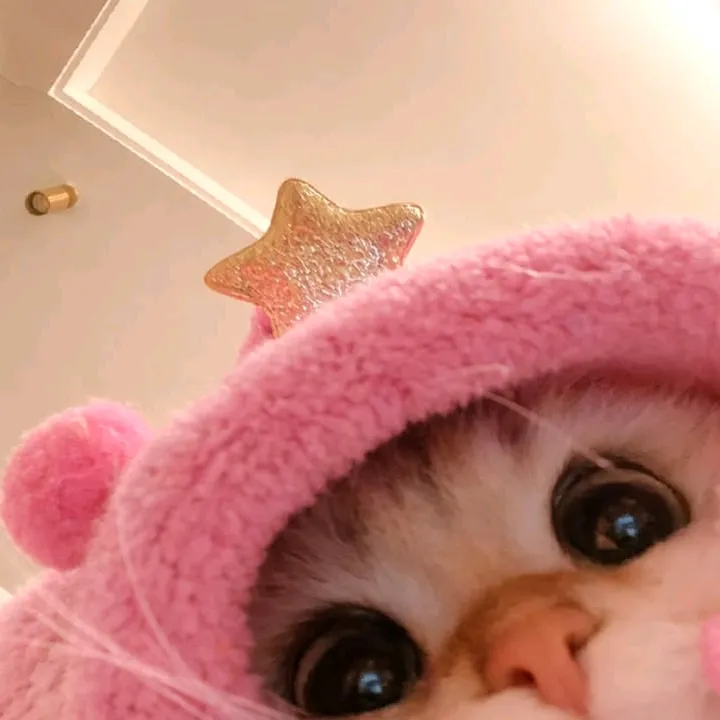 jalyvi_