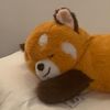 toasty_femboy