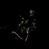 farhankhan__444