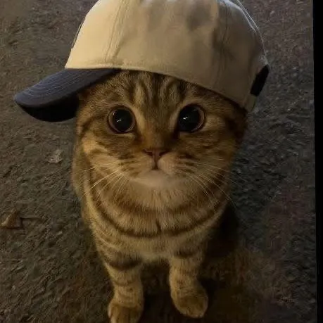 vetsbook