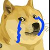 user7481118822346