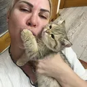 @sibosumm