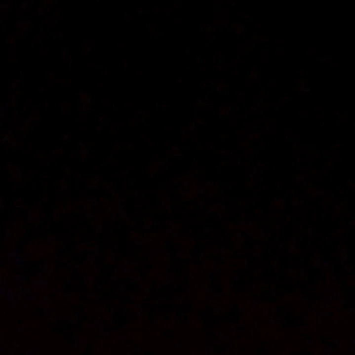 @rroblox514