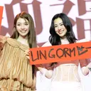 @lingorm.gfx