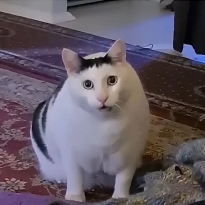 memekah_