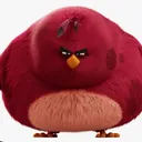 @terence.angry.bird