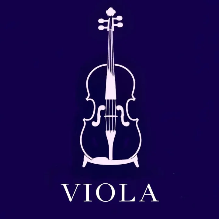 @violi_music1