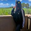 ig_asnaaaaaa