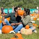 @ashna_dmn