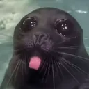 @welliamsycko