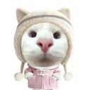 @d.nguyt21