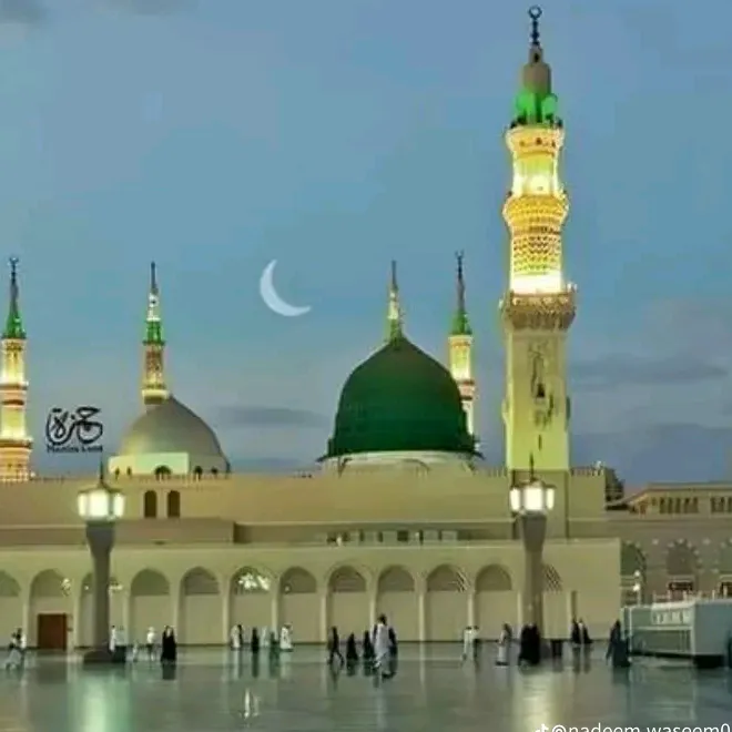 @malyasali264