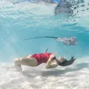@thesaltsirens