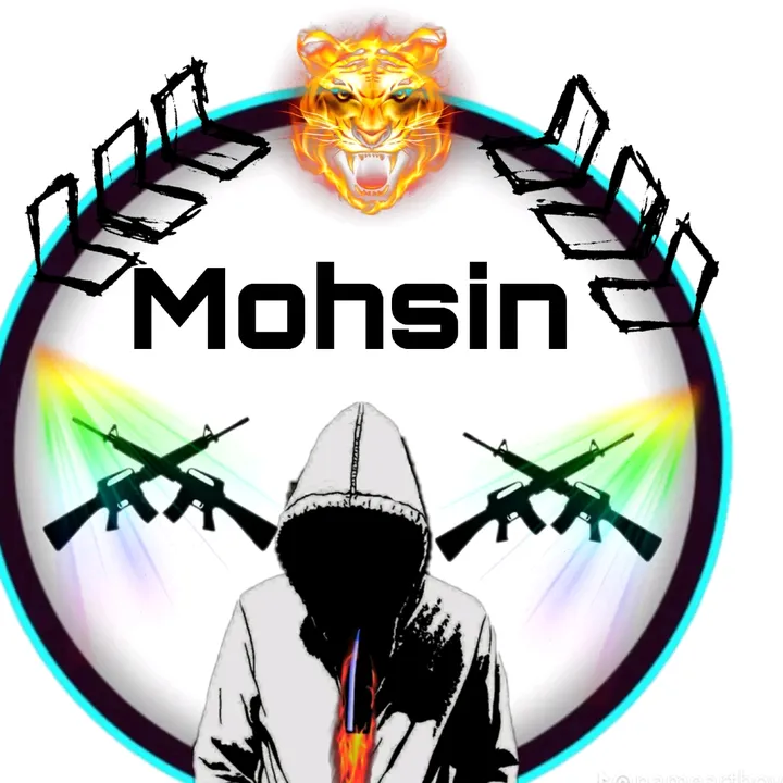 mohsinraja8045