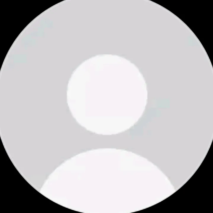 user294619081