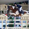 horse_edits808