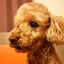 @this_is_luna_
