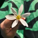 @theseekerdiaries