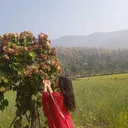 @mayaxettri956