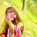 @areeba0500