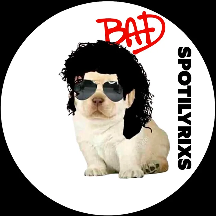 spotilyrixs