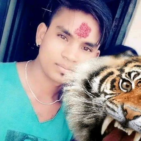 @ramjibayalkoti2