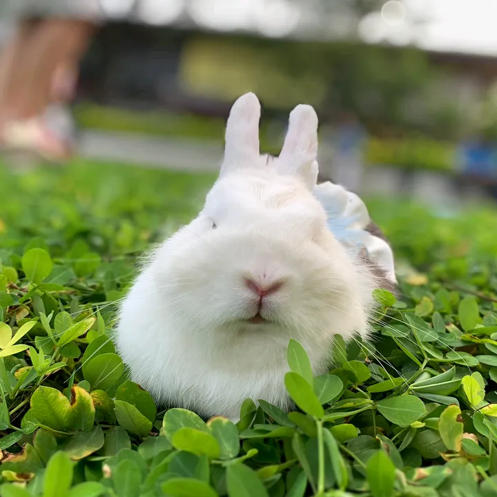 @strbunny15
