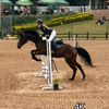 equestrian5108