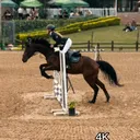 @equestrian5108