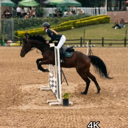 equestrian5108