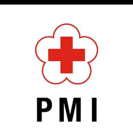 pmisragen
