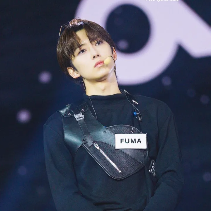 @everything4fuma