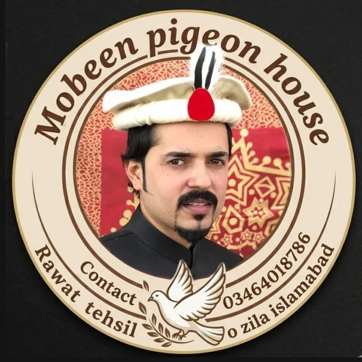 mubeenkyani
