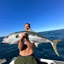 @henrygibbsfishingnz