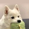 realhappy__