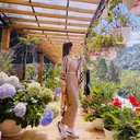 @bonghongthep123