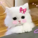 @jrandaya2