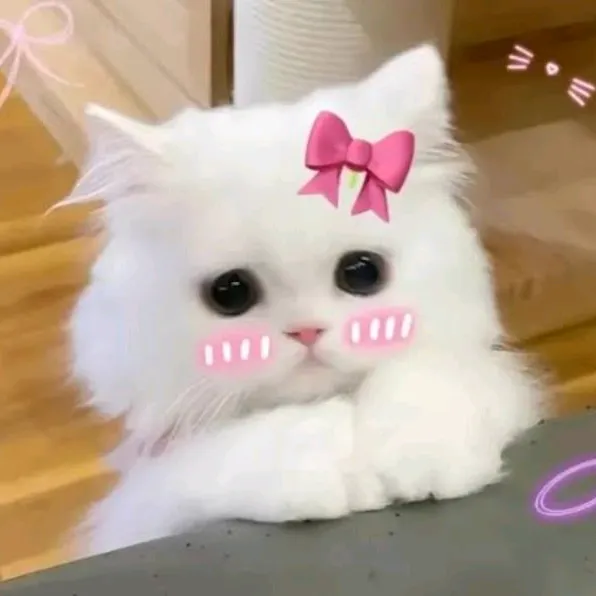 @jrandaya2
