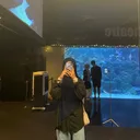 @nfeez00