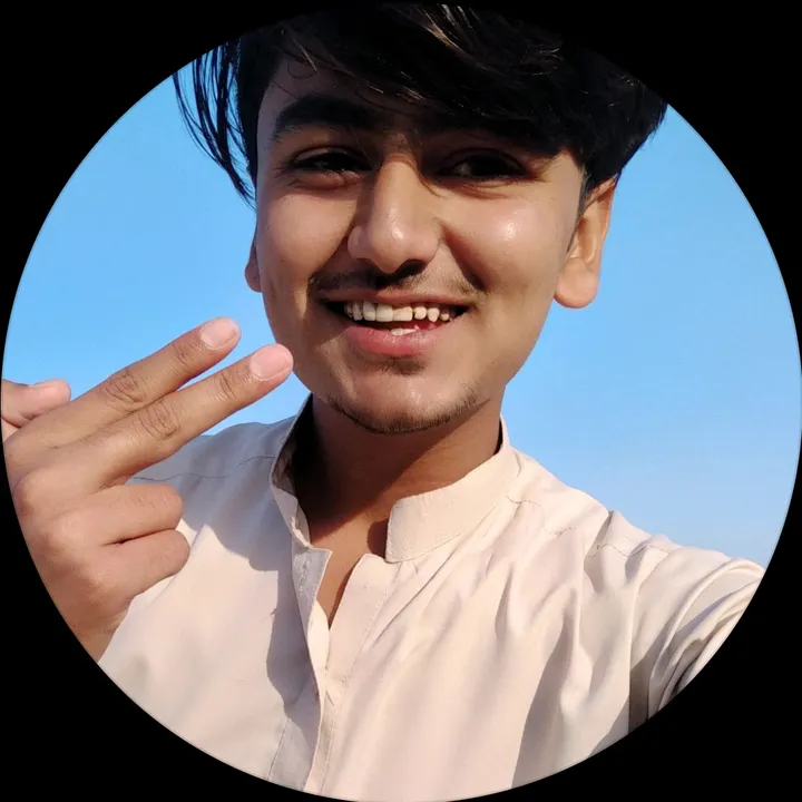 walleedmalik6