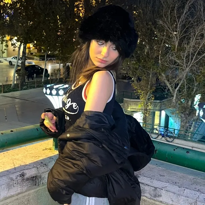 @lil.meshii