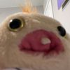 0f0_you
