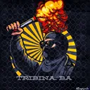 @tribinapyro.ba